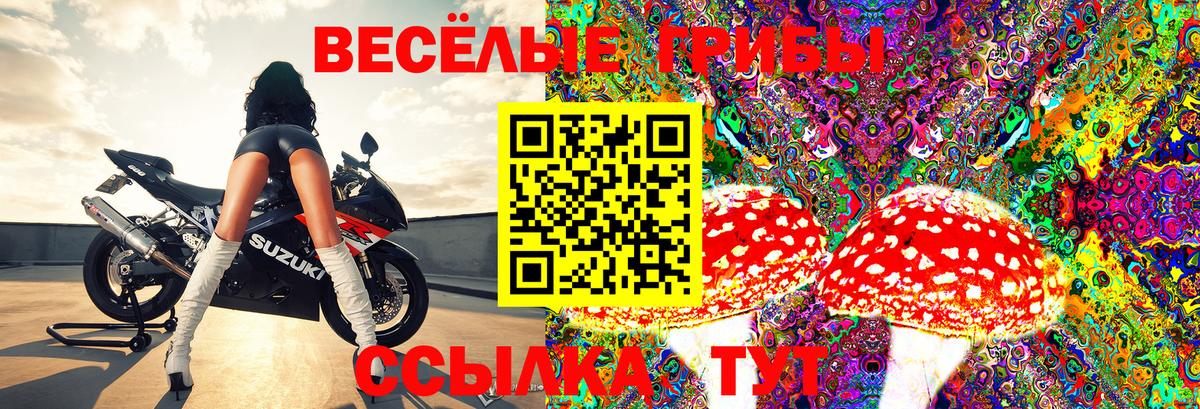 Галлюциногенные грибы Psilocybe  Вход с VPN  Псилоцибиновые грибы Cubensis  Нарткала 